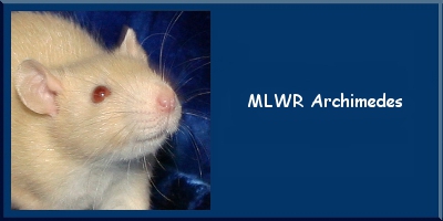 MLWR Archimedes
