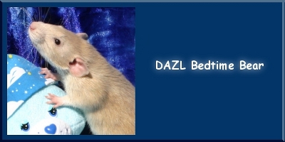 Bedtime Bear