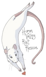 Huron Valley Rat Rescue