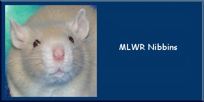 MLWR Nibbins