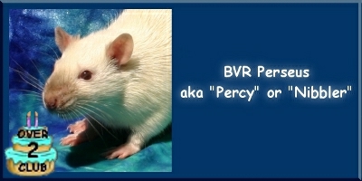Perseus
