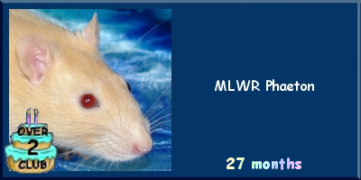 MLWR Phaeton