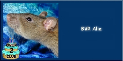 BVR Alia