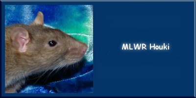 MLWR Houki