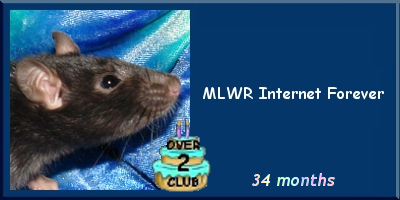 MLWR Internet Forever