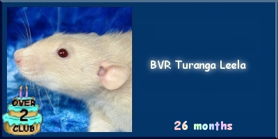 BVR Turanga Leela