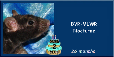 BVR-MLWR Nocturne