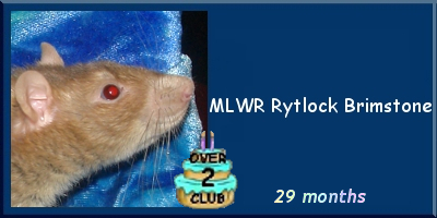 MLWR Rytlock Brimstone