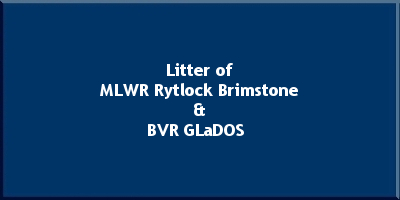 Litter of MLWR Rytlock Brimstone and BVR GLaDOS