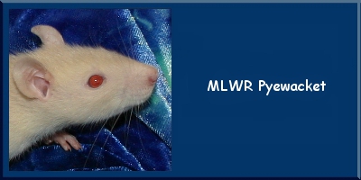 MLWR Pyewacket