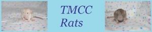 TMCC Rattery