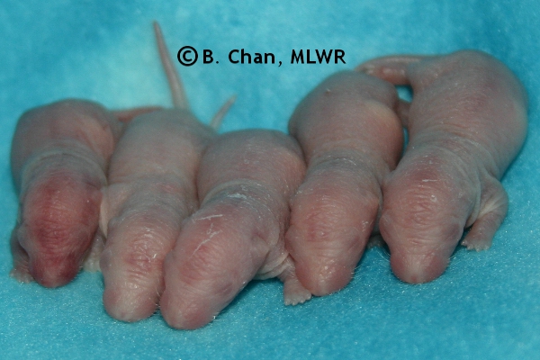 Boys - Day 1