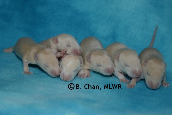 Boys - Day 12