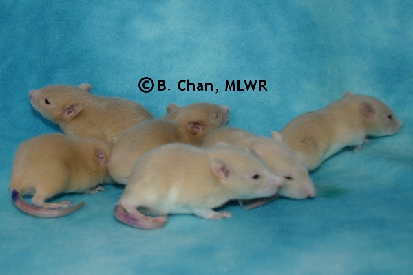 Boys - Day 17
