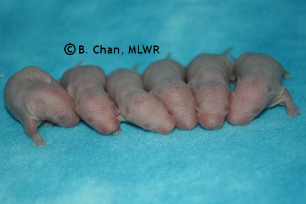 Boys - Day 3