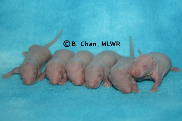 Boys - Day 5