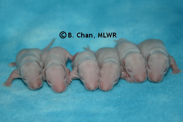 Boys - Day 7