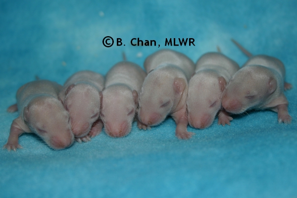 Boys - Day 8