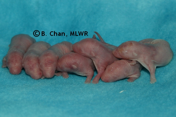 Girls - Day 1