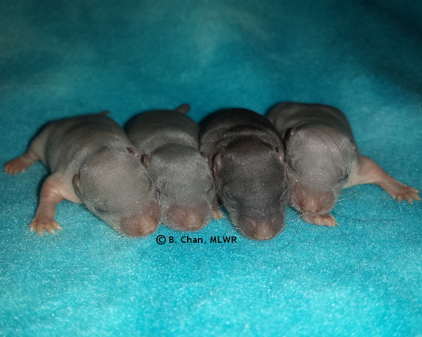 Group - Day 6