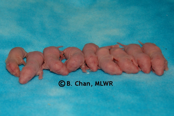Boys - Day 3