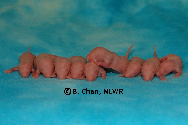 Boys - Day 5