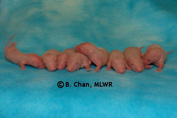 Boys - Day 7