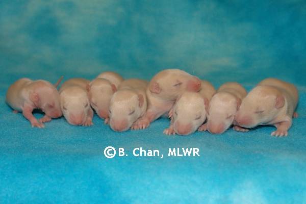 Boys - Day 12