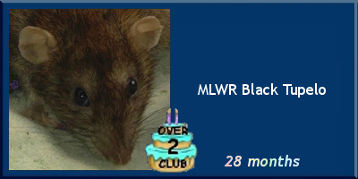 MLWR Black Tupelo