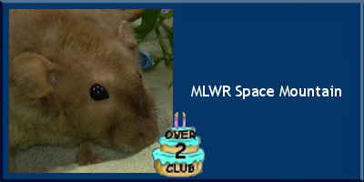 MLWR Space Mountain